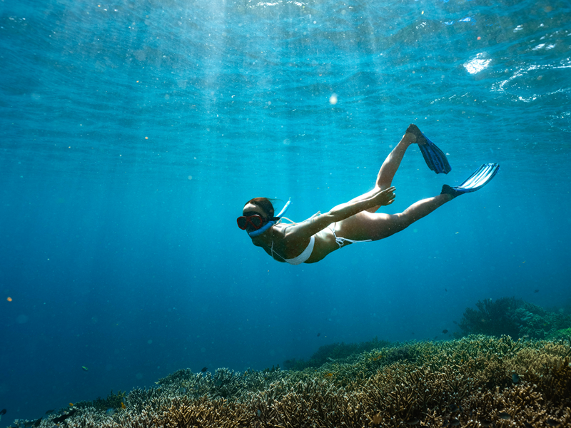 Snorkelling