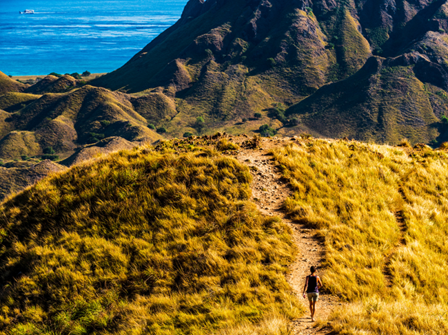 Trekking 4
