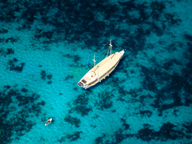 Vessel1